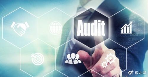 數(shù)據(jù)庫安全審計(jì)系統(tǒng) 筑牢數(shù)據(jù)安全防線，提高資產(chǎn)安全的技術(shù)開發(fā)路徑