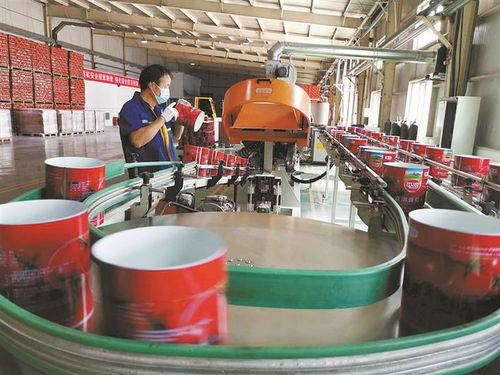 防疫不松勁 生產(chǎn)加速度 技術(shù)開發(fā) 三線并進(jìn)，筑牢發(fā)展根基